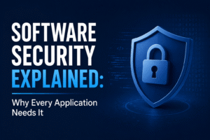 Software Security Explained